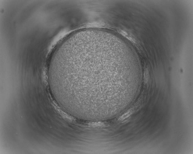 X0000067911454200604171327