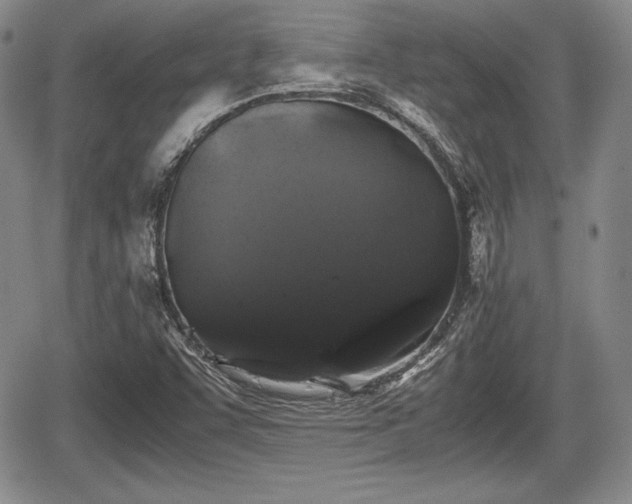 X0000067911455200604171326