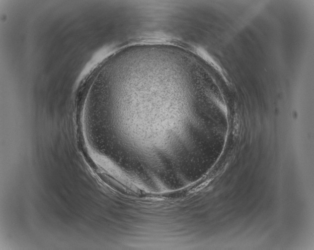 X0000067911456200604171326