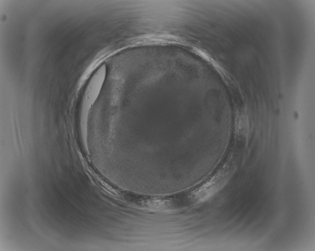 X0000067911459200604171326