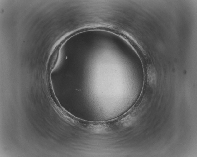 X0000067911460200604171326