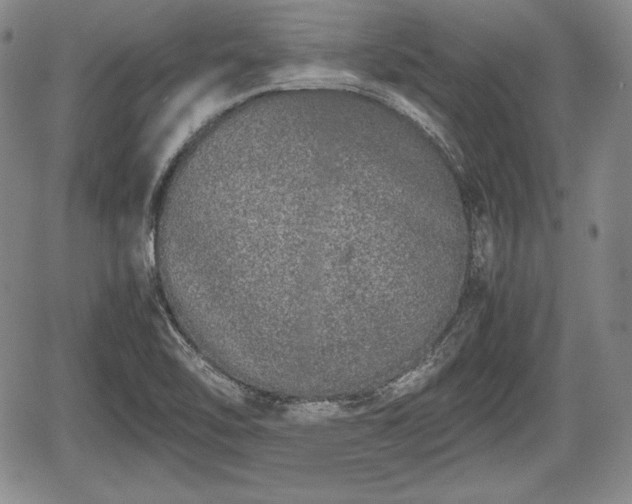 X0000067911462200604171326