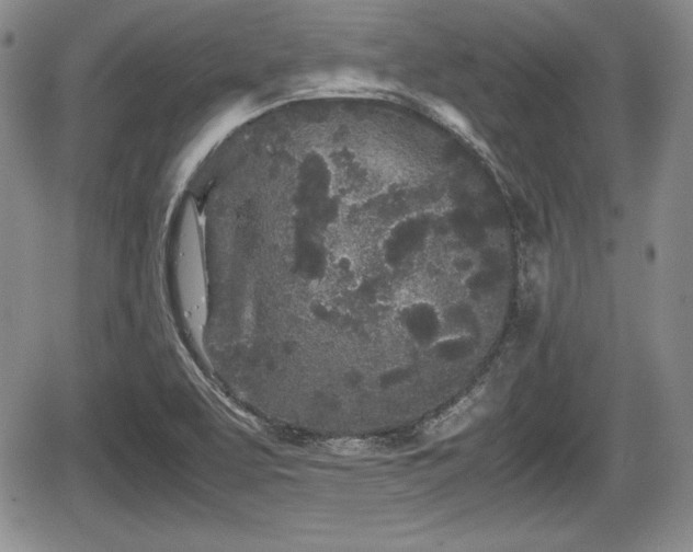 X0000067911463200604171326