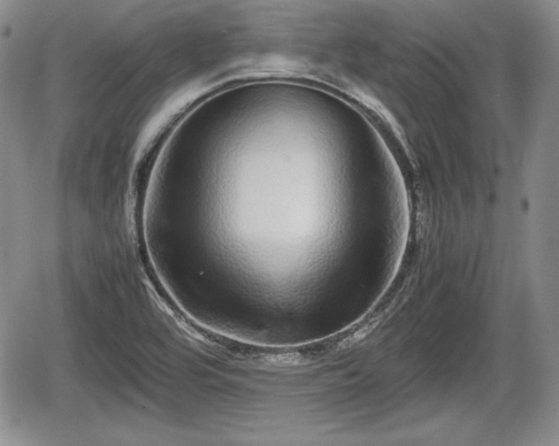 X0000067911464200604171326