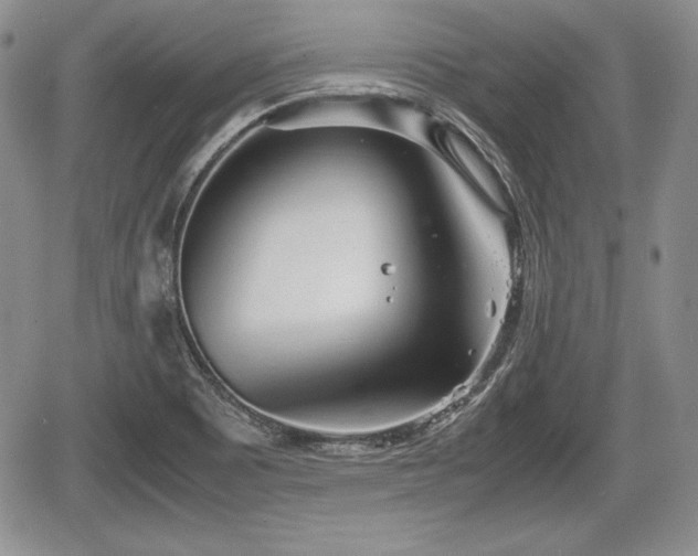 X0000067911465200604171326