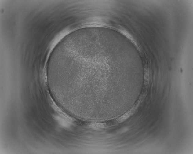 X0000067911466200604171326