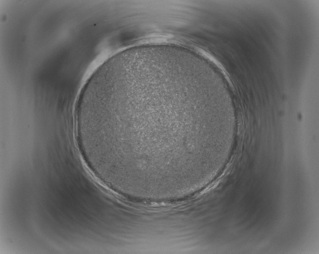 X0000067911467200604171326