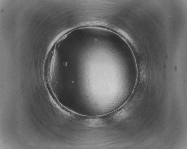 X0000067911468200604171326