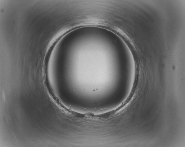 X0000067911469200604171326