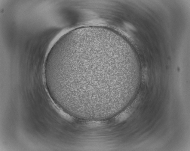 X0000067911470200604171326