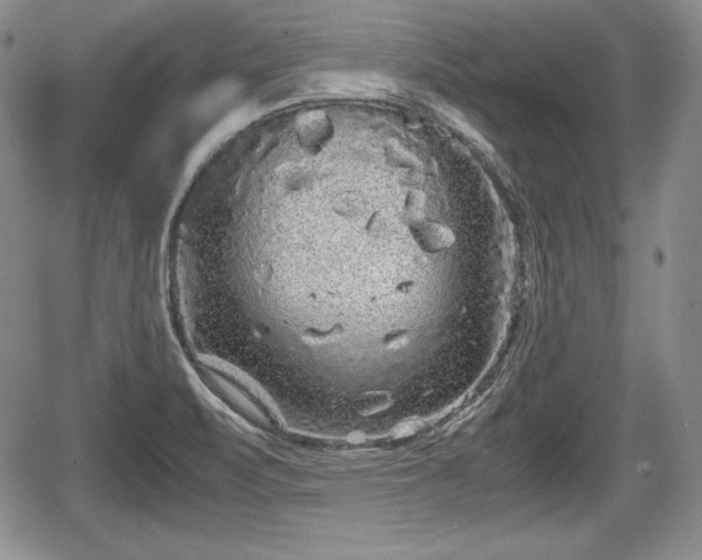 X0000067911471200604171326