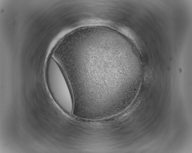 X0000067911472200604171326