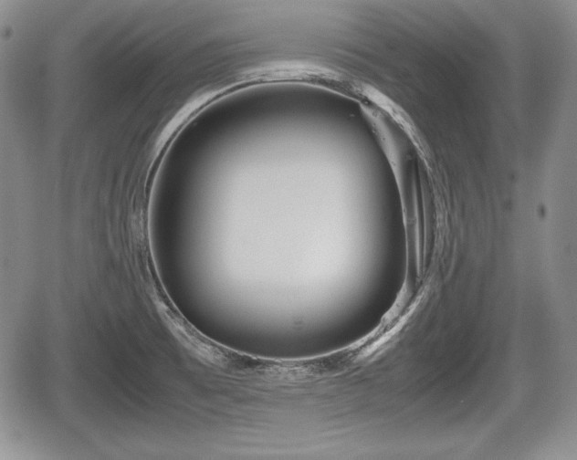 X0000067911473200604171326