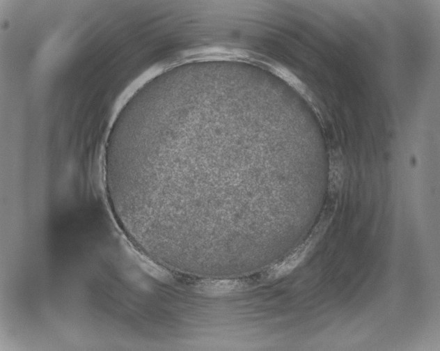 X0000067911474200604171326