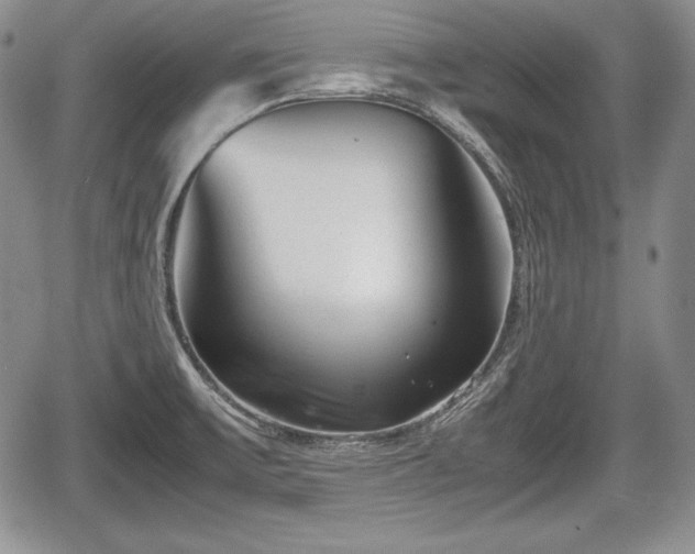 X0000067911475200604171326