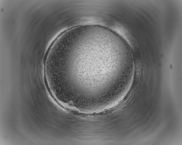 X0000067911476200604171326