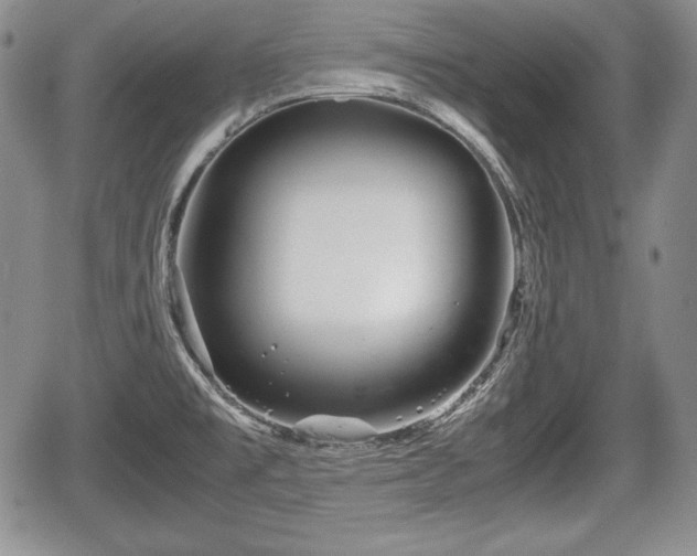 X0000067911477200604171326