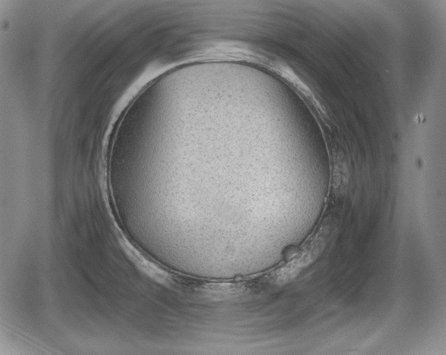 X0000067911478200604171326