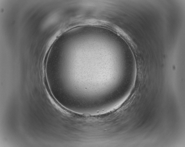 X0000067911479200604171326