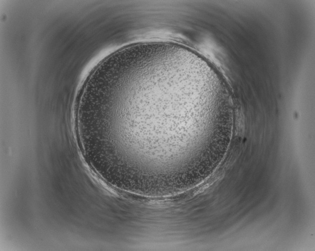 X0000067911480200604171326