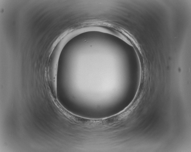 X0000067911481200604171326