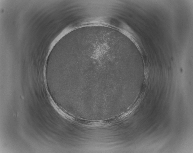 X0000067911482200604171326