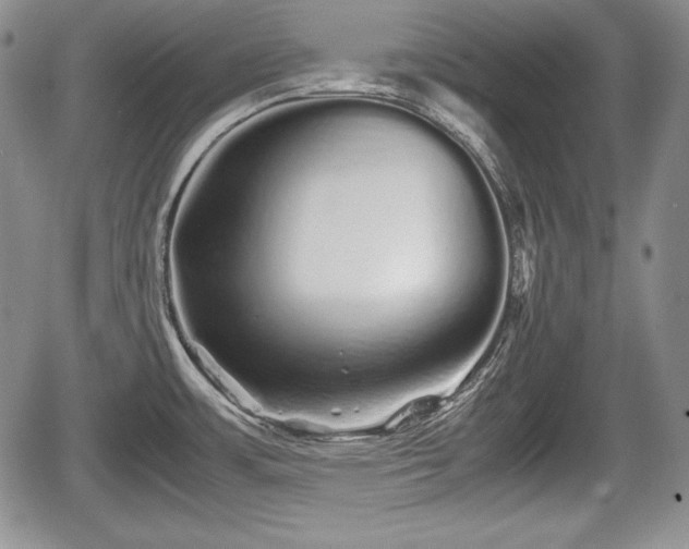 X0000067911483200604171326