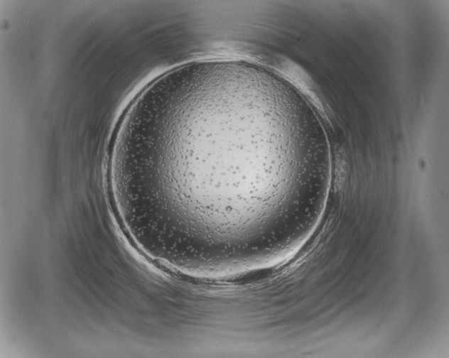 X0000067911484200604171326