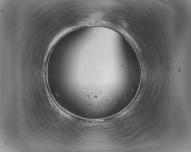 X0000067911486200604171326