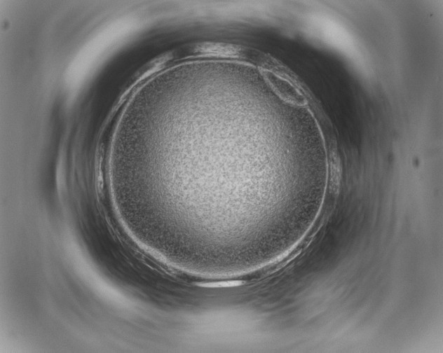 X0000067911487200604171326