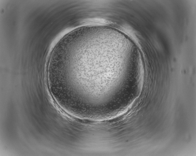 X0000067911488200604171326