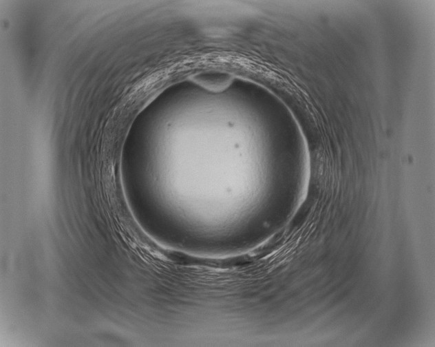 X0000067911489200604171325