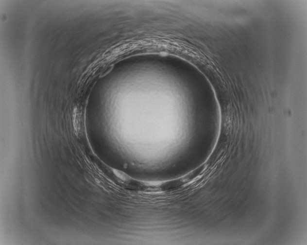 X0000067911490200604171325