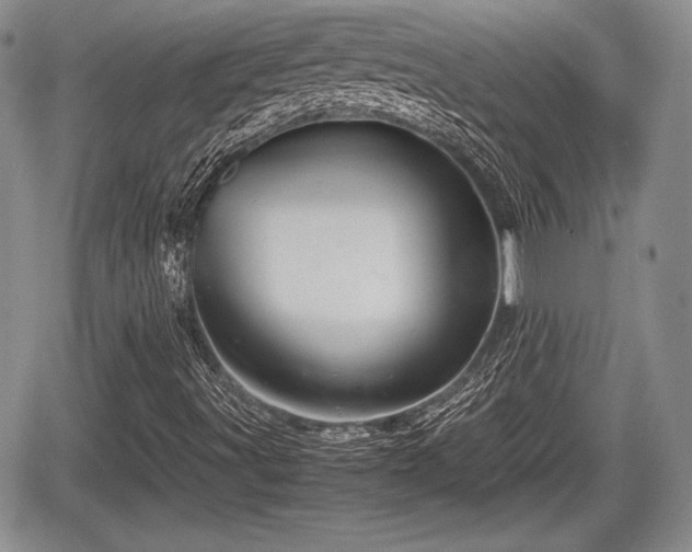 X0000067911491200604171325