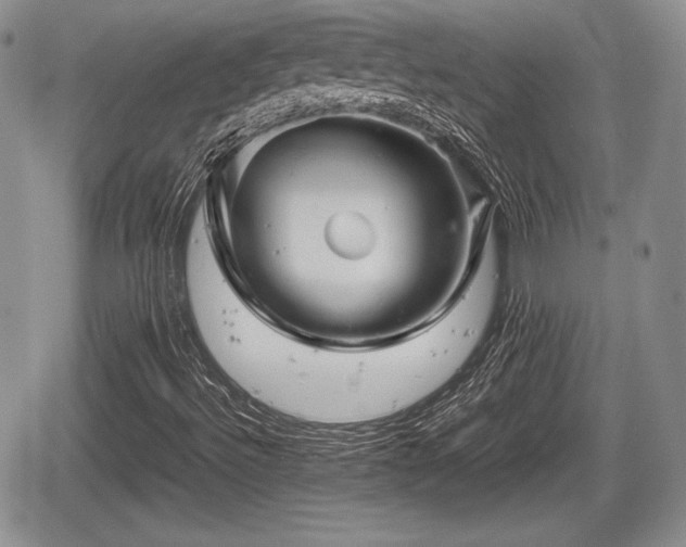 X0000067911492200604171325