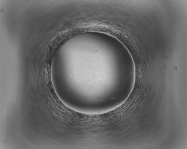 X0000067911493200604171325