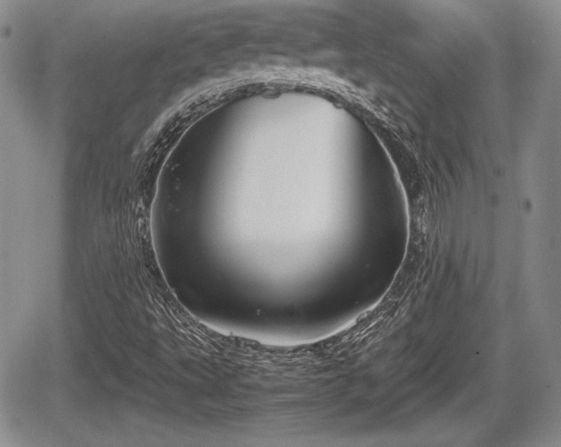 X0000067911495200604171325