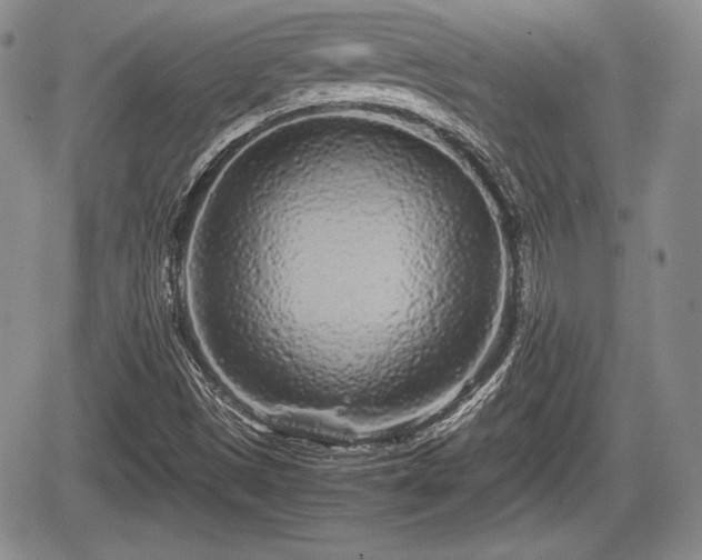 X0000067911497200604171325