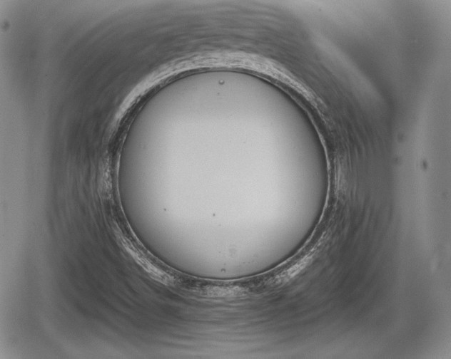 X0000067911498200604171325