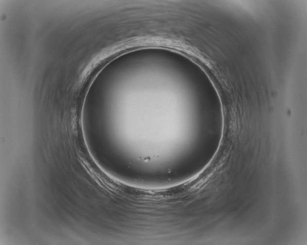 X0000067911499200604171325