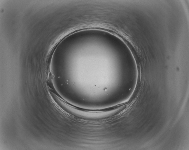 X0000067911500200604171325