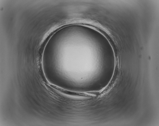 X0000067911501200604171325