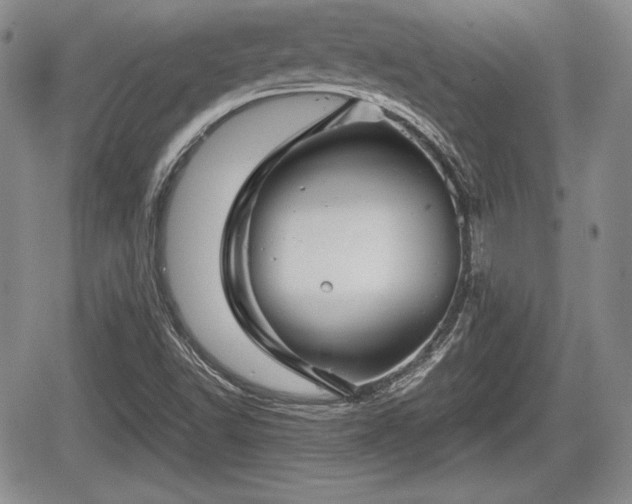 X0000067911502200604171325