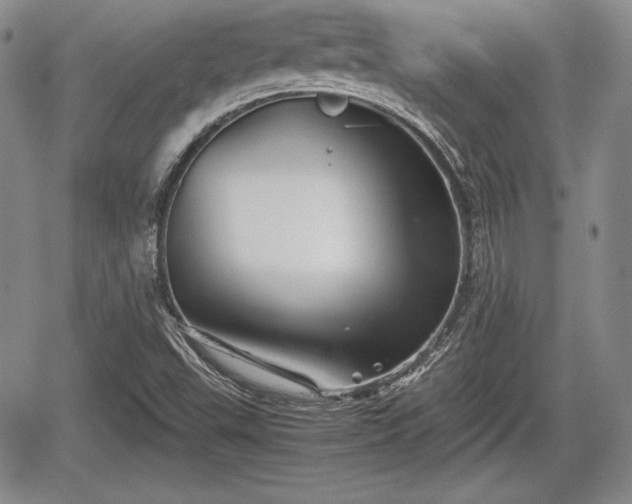 X0000067911503200604171325