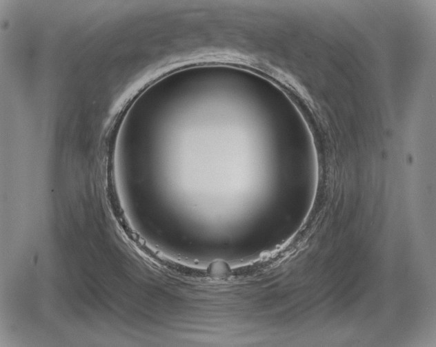 X0000067911504200604171325