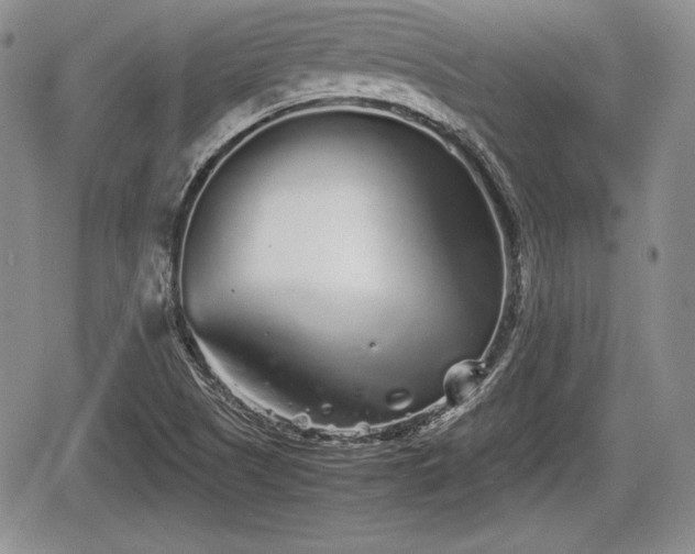 X0000067911505200604171325