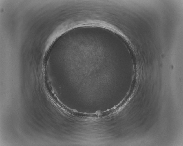 X0000067911506200604171325