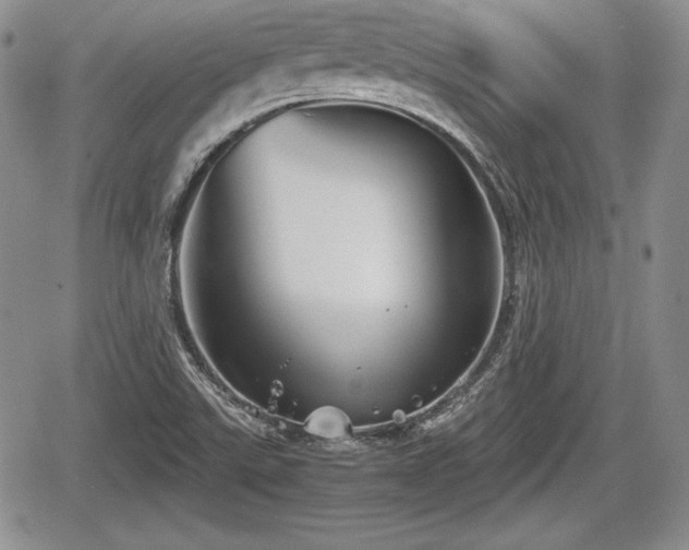 X0000067911507200604171325