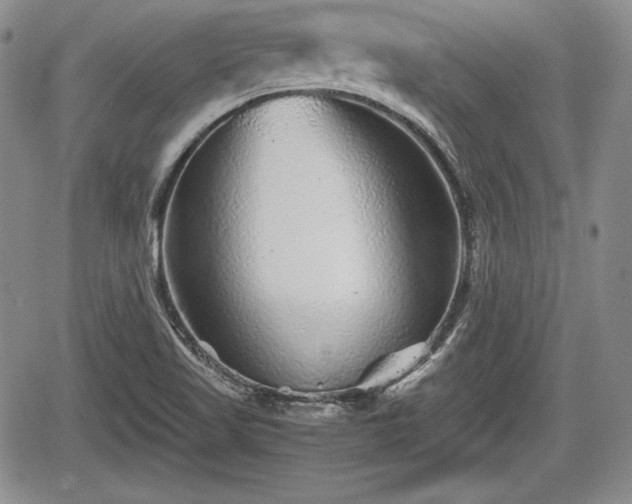 X0000067911509200604171325