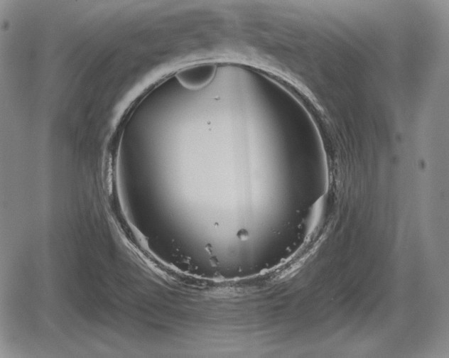 X0000067911510200604171326